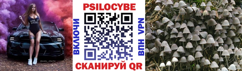 Галлюциногенные грибы Magic Shrooms  Белозерск 